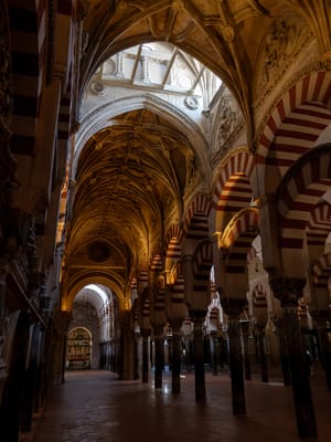 من أبطال الهجرة النبوية