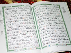 الأم الرءوم